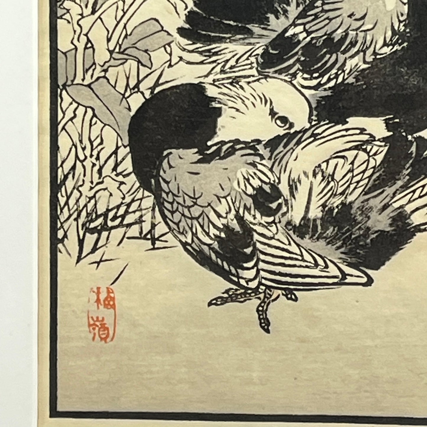 Antique Japanese Woodblock Print of Two Pigions Framed & Matted 17"