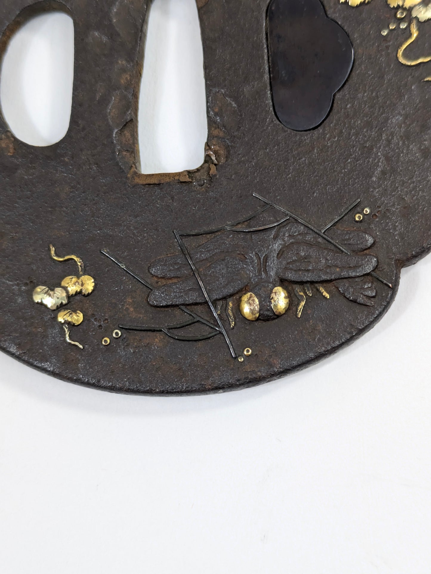 Antique Japanese Iron Tsuba – Spider, Dragonfly, and Ivy – Edo Period Samurai Sword Guard