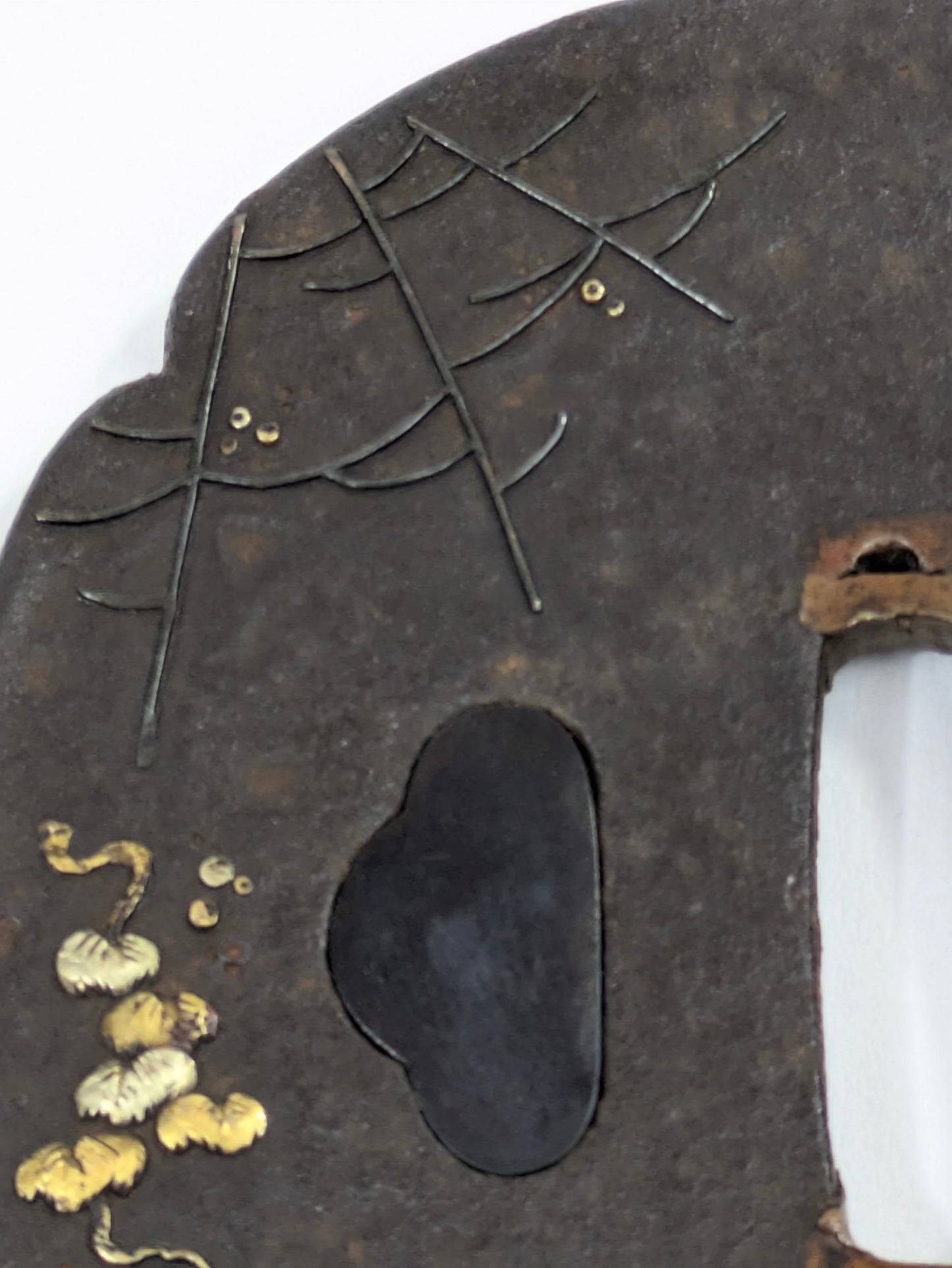 Antique Japanese Iron Tsuba – Spider, Dragonfly, and Ivy – Edo Period Samurai Sword Guard