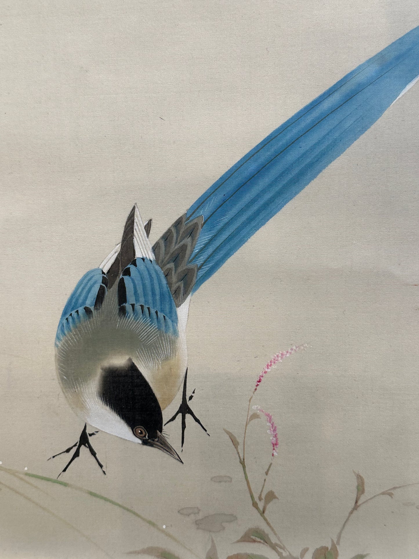 Vintage Japanese Scroll Hand Painted Mid 1900’s Magpie & Hibiscus