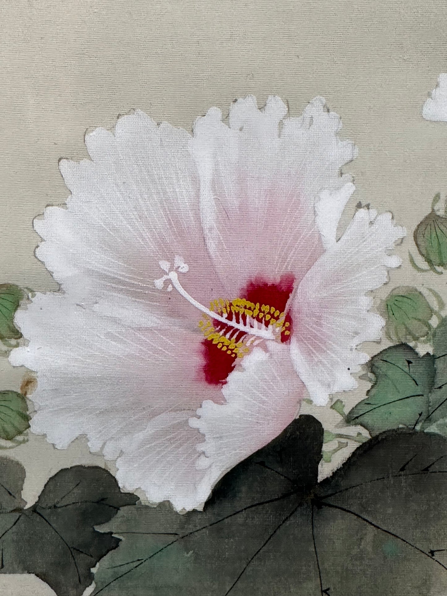 Vintage Japanese Scroll Hand Painted Mid 1900’s Magpie & Hibiscus