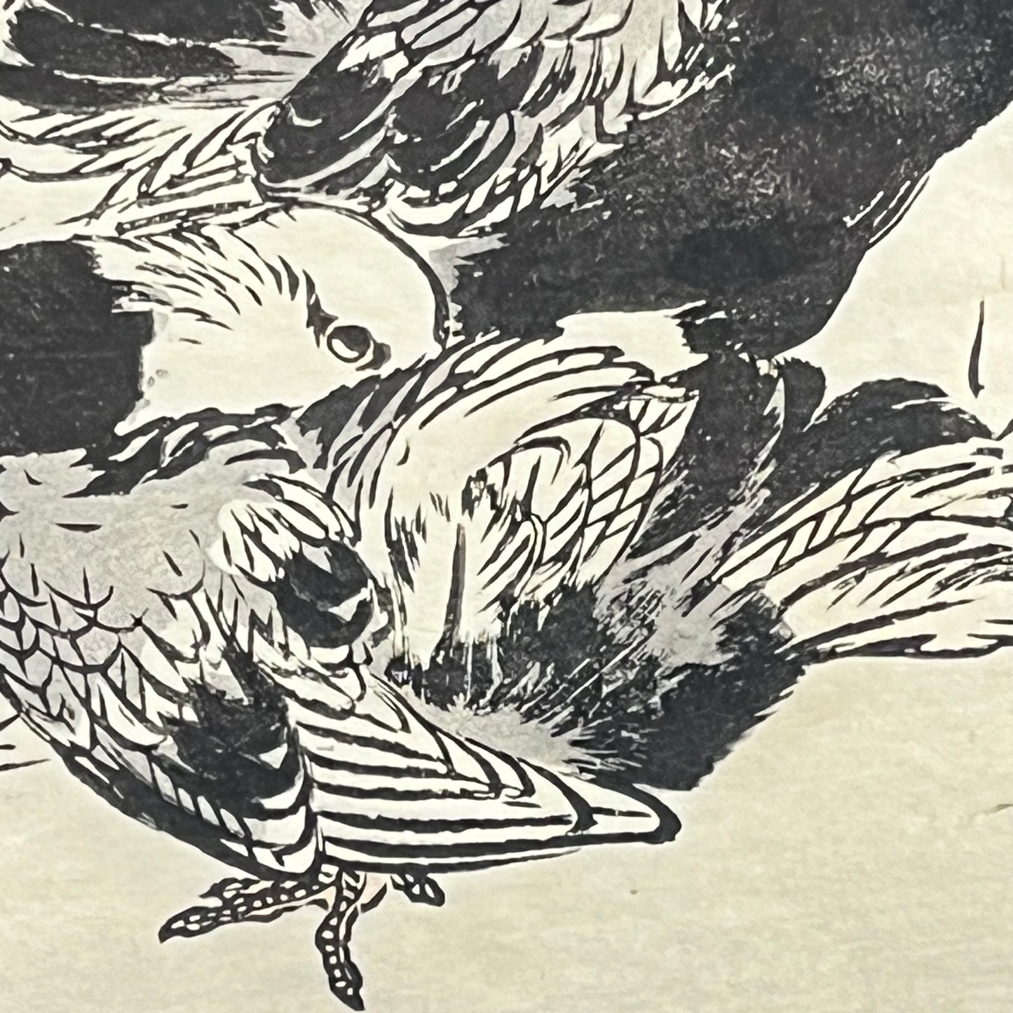 Antique Japanese Woodblock Print of Two Pigions Framed & Matted 17"