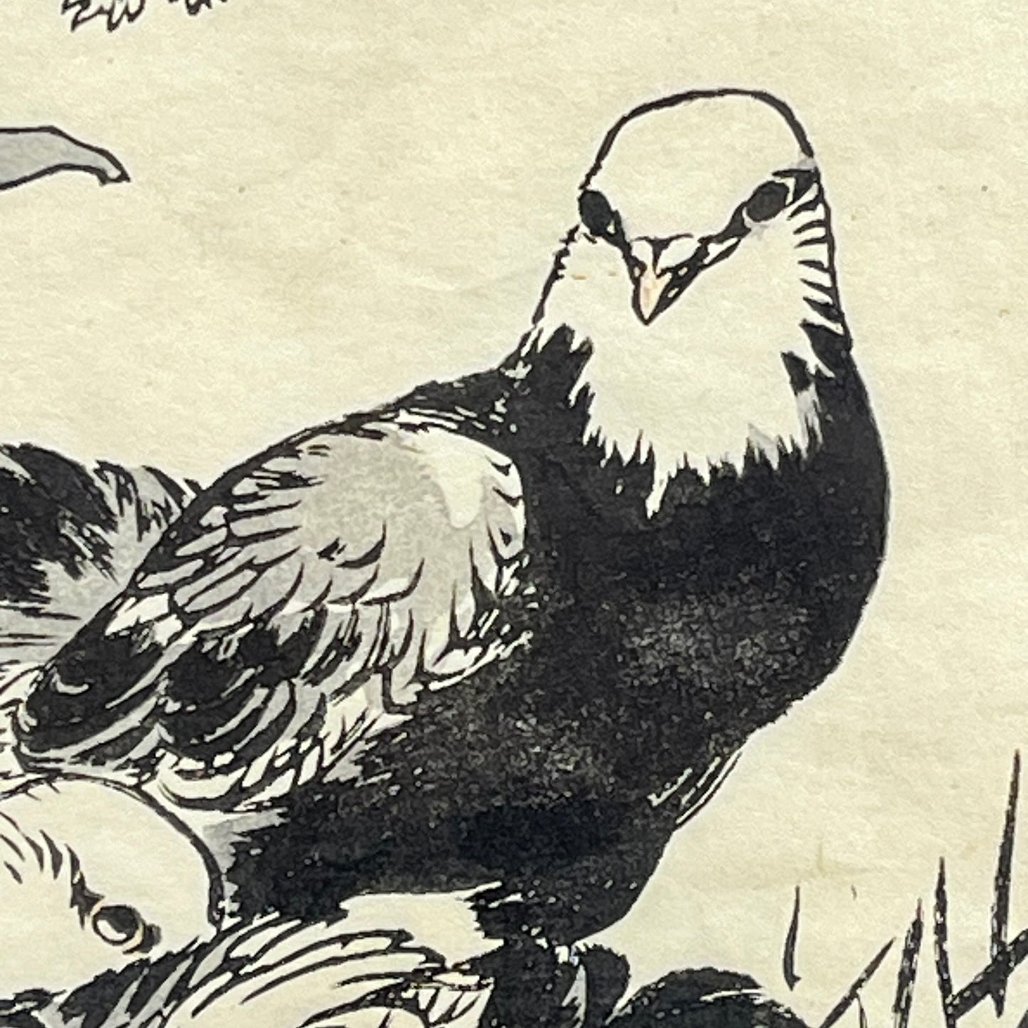 Antique Japanese Woodblock Print of Two Pigions Framed & Matted 17"