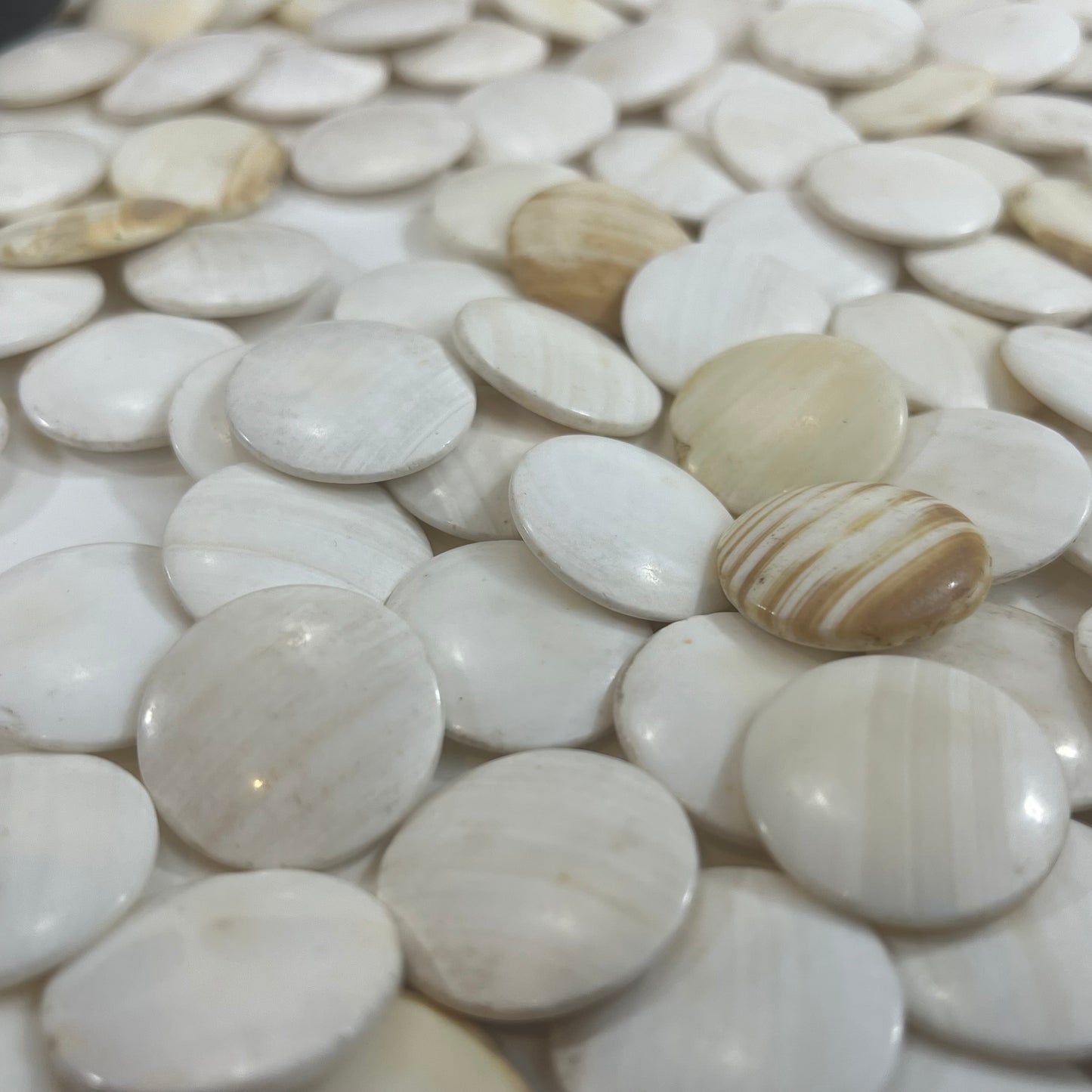 Vintage Go Stones Natural Shell & Slate w/ Keyaki Bowls