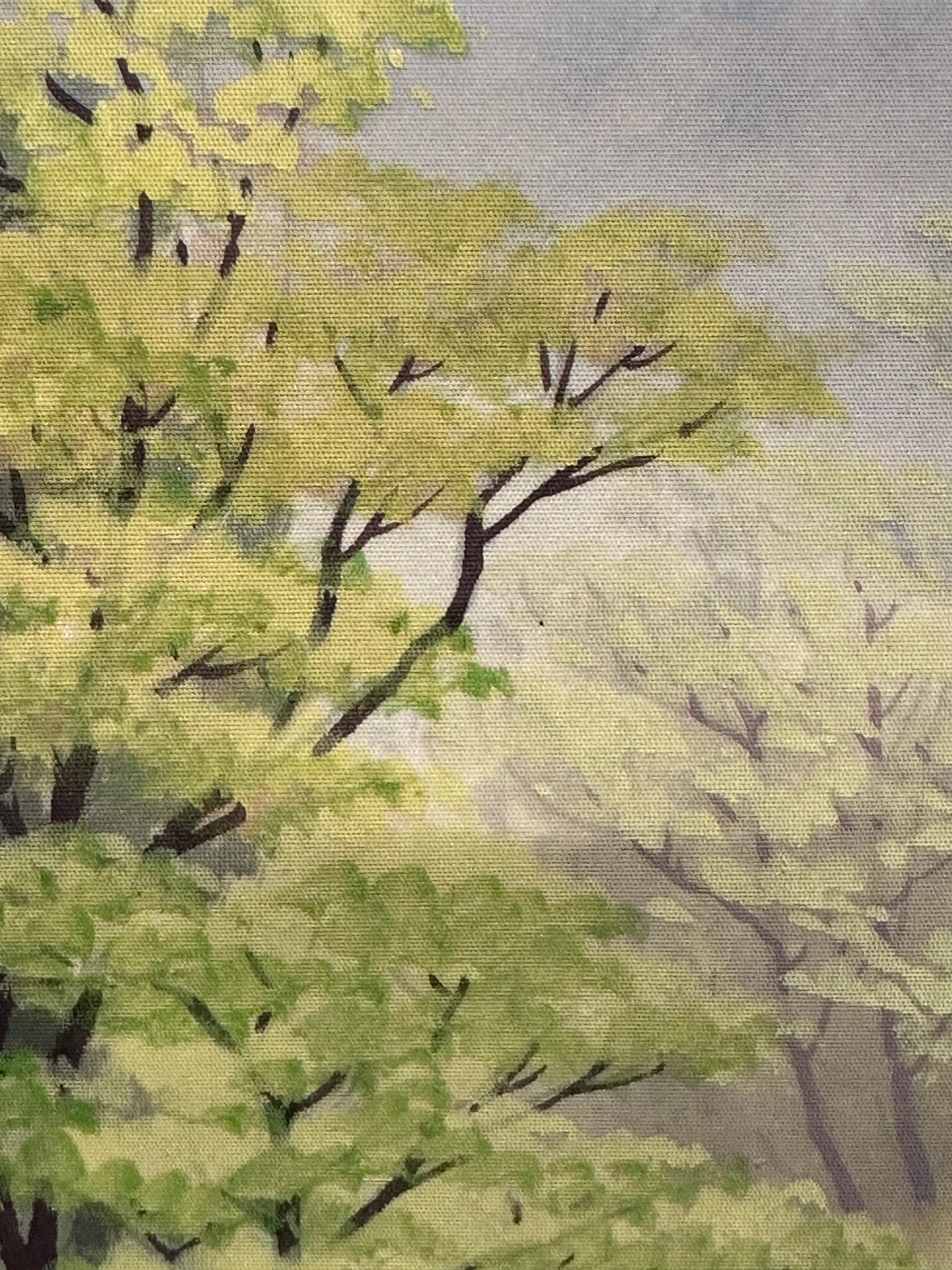 Japanese Scroll Hand Painted Mid 1900’s Mountain Stream