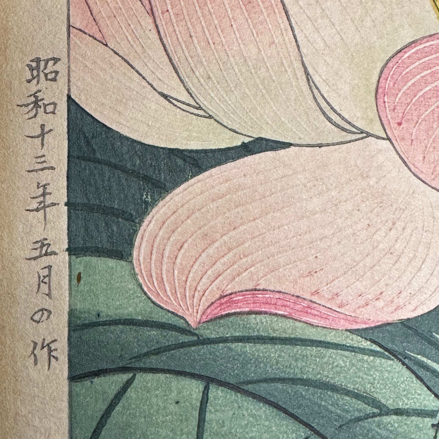 Original Nishimura Hodo Woodblock Print Pink "Lotus Flowers" 1938