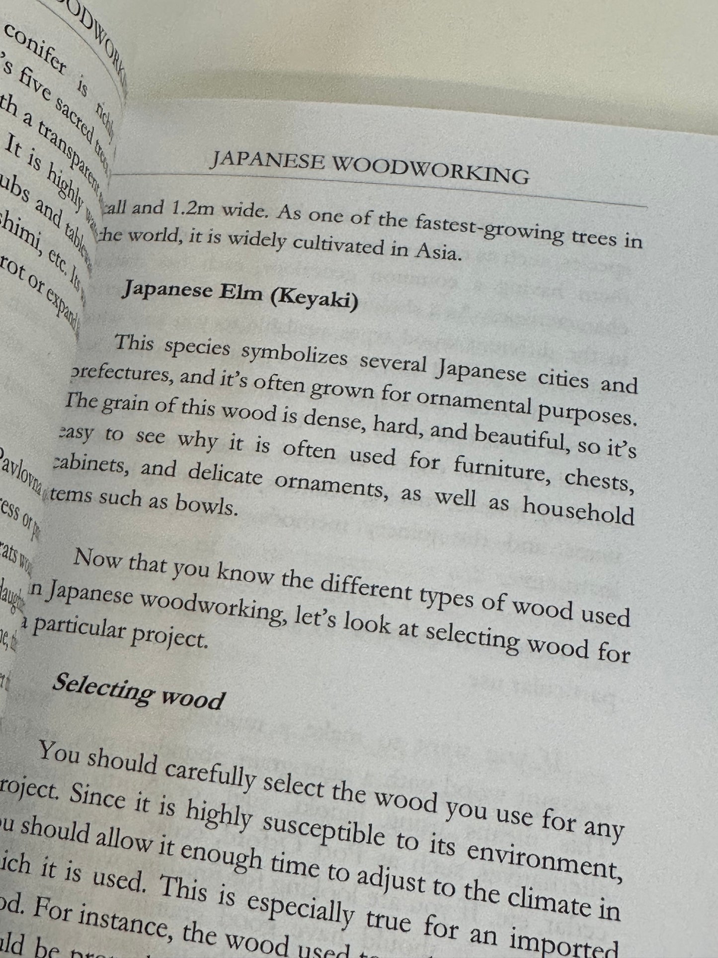 Japanese Woodworking: A Beginner's Guide by Graham 2021