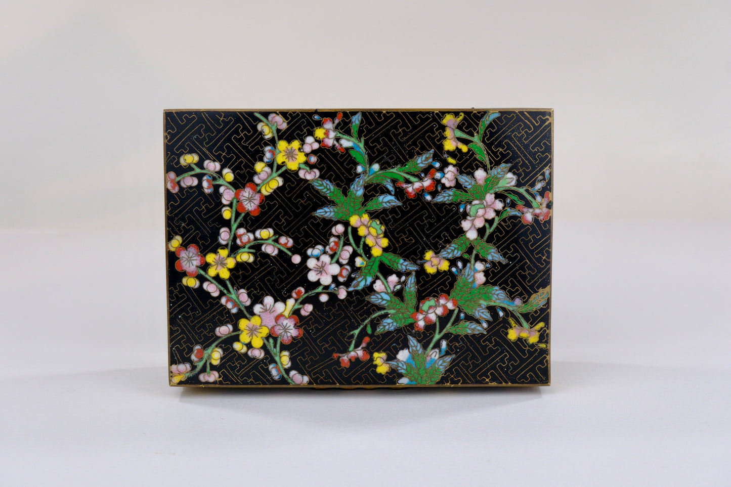 Antique Chinese c1910's Cloisonné Hinged Box w/ Floral Motif on Black 5"