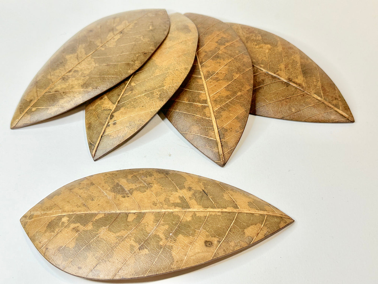Vintage Japanese Set of 5 Plates Kashizara Sushi Dish Magnolia Leaf 7"