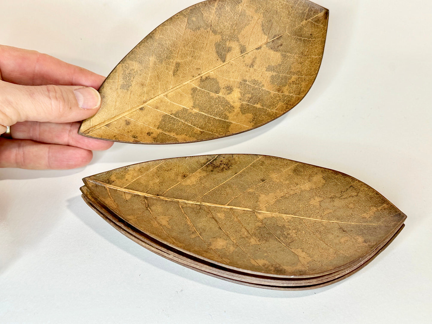Vintage Japanese Set of 5 Plates Kashizara Sushi Dish Magnolia Leaf 7"