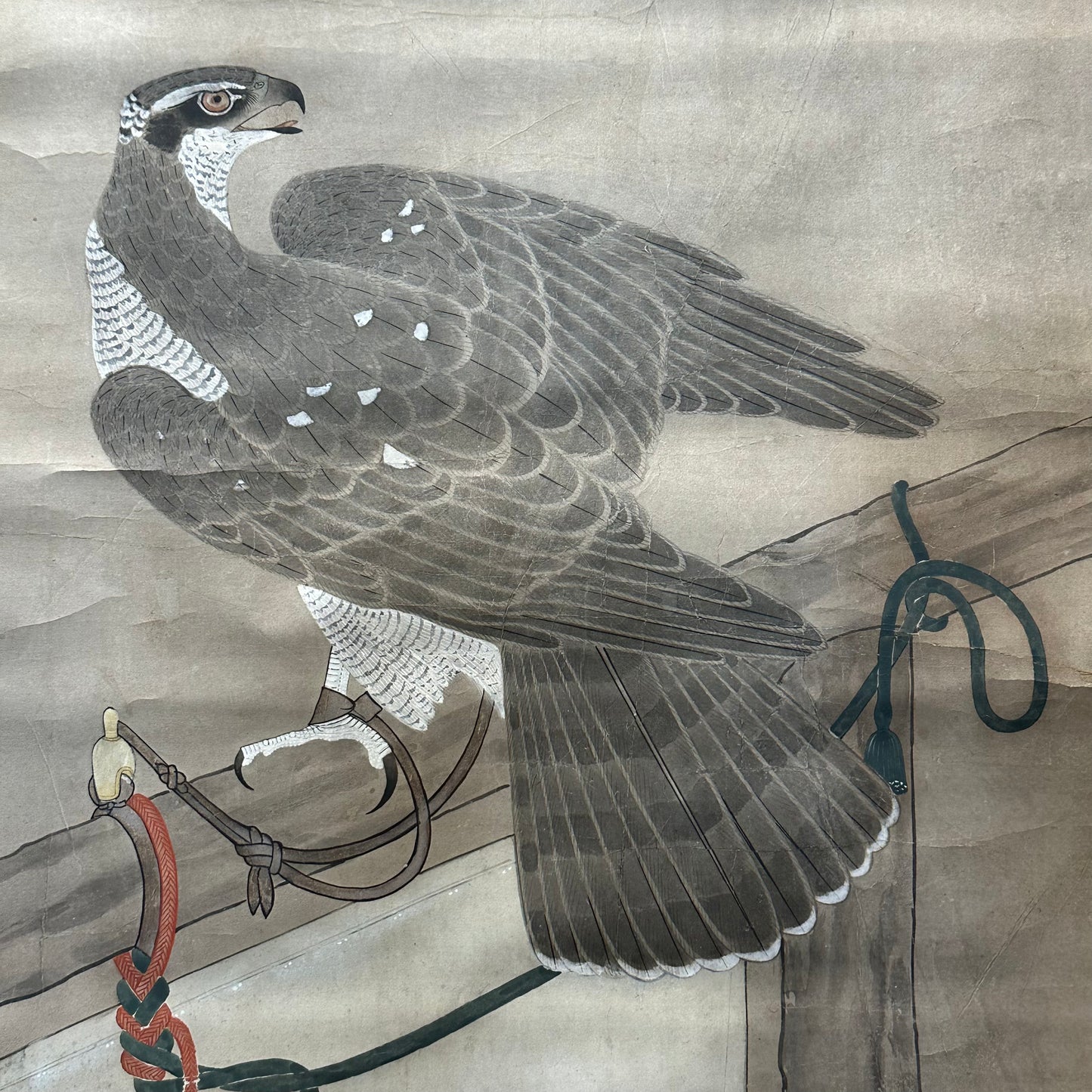 Japanese Antique Scroll Kakejiku Hand Painted Hunting Falcon 76"