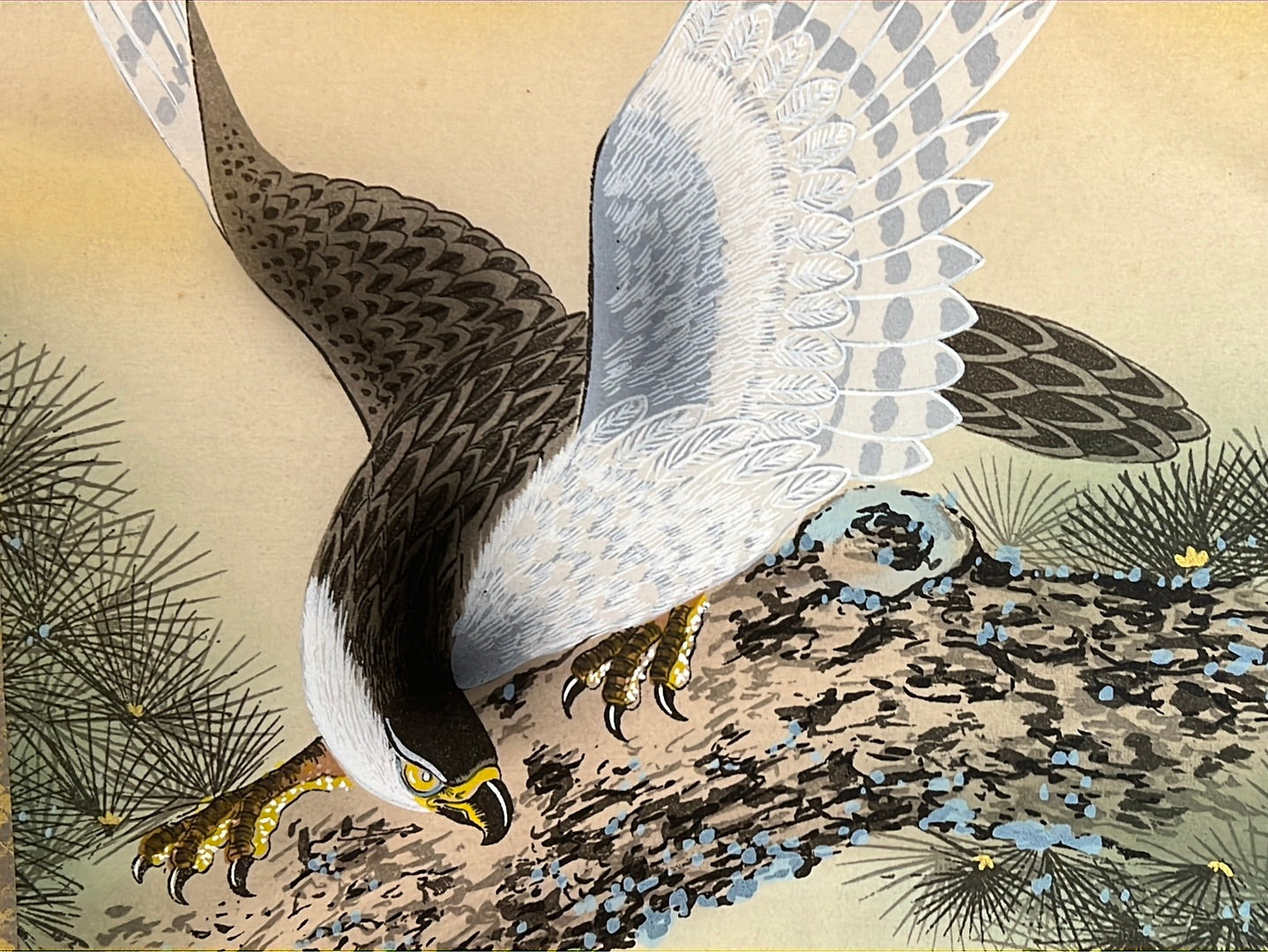 Japanese Vintage Scroll Kakejiku Hand Painted on Silk Showa Era Falcon & Mt Fuji 73"