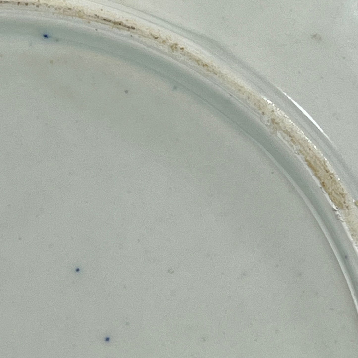 Antique Meiji Era Japanese Ceramic Round Imari Blue & White Plate Mt. Fuji Shrouded in Mist