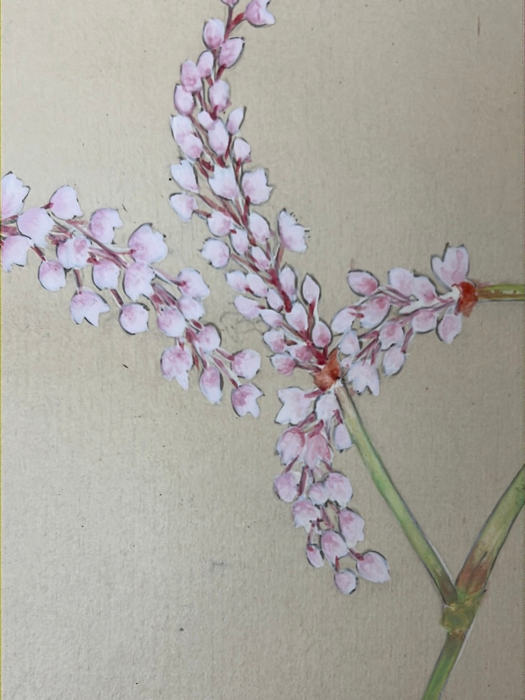 Japanese Scroll Hand Painted on Silk Showa Era Flowers 56”