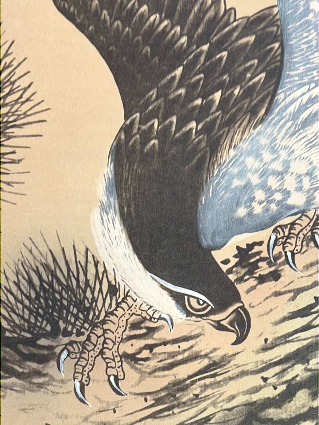 Japanese Vintage Scroll Kakejiku Hand Painted Showa Era Falcon & Mt Fuji 73"