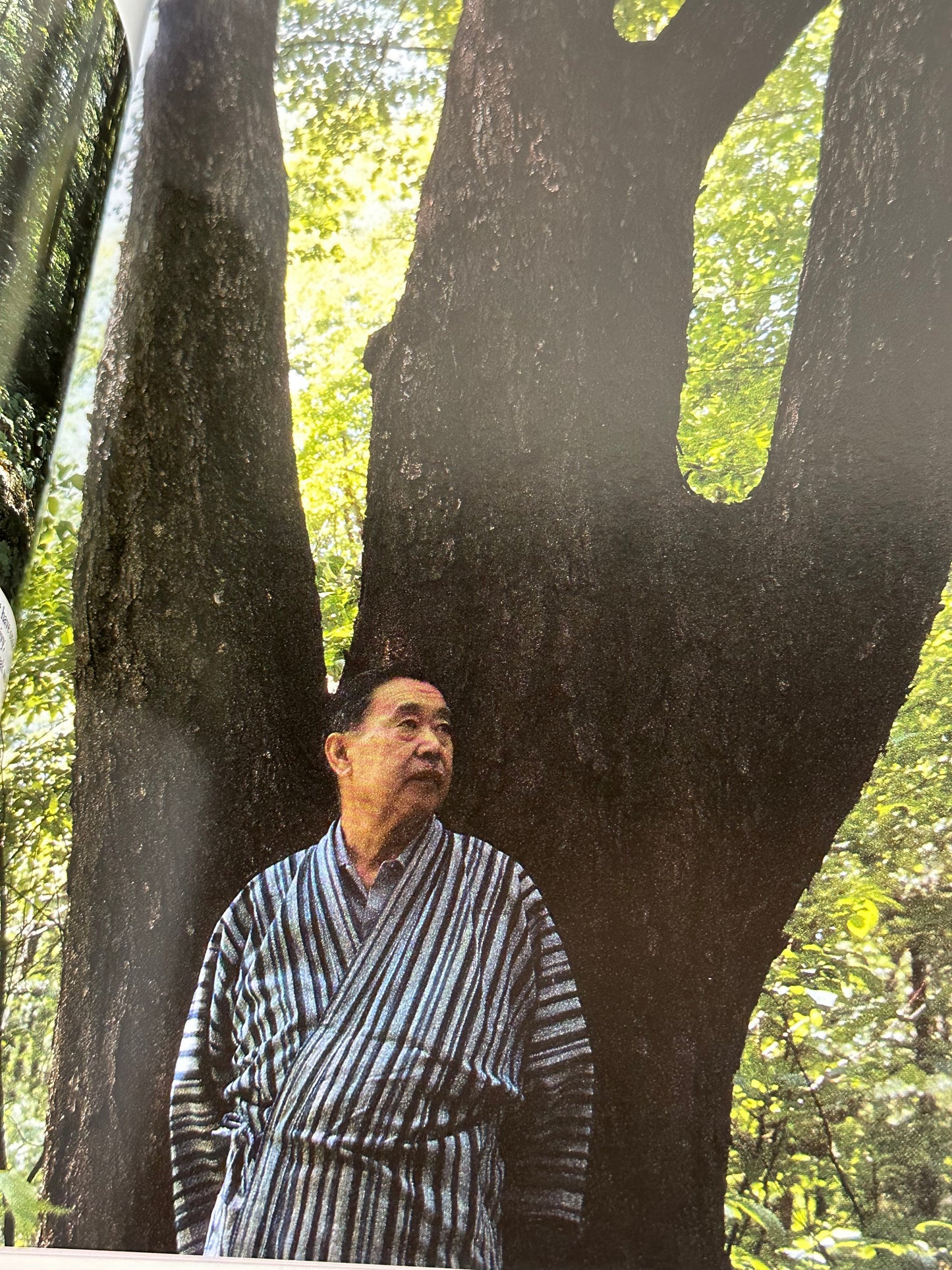 Soul of a Tree: A Woodworkers Reflections by Nakashima 1981