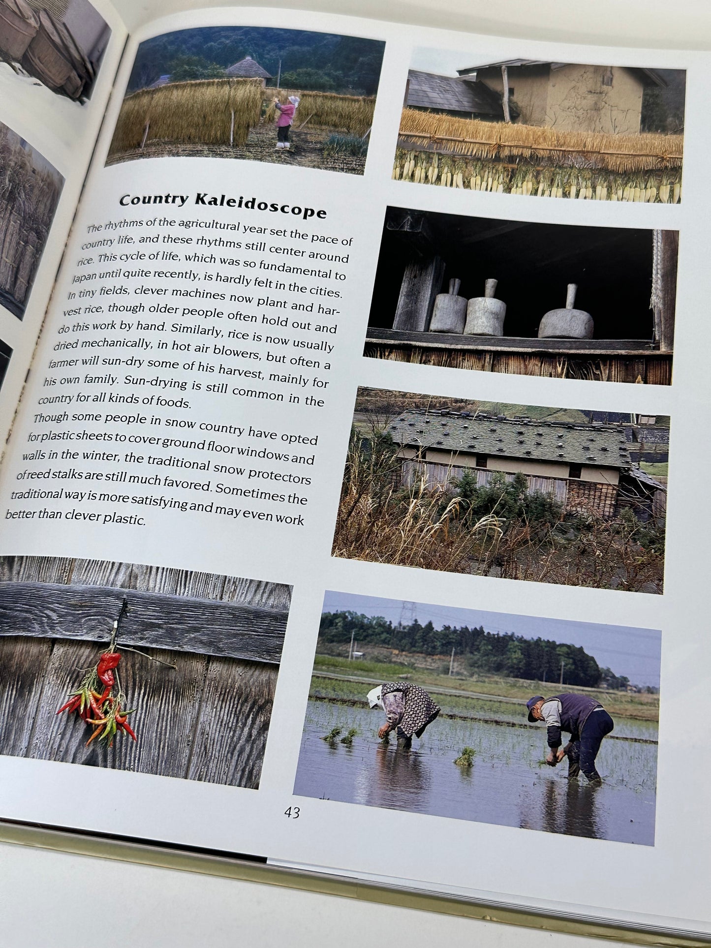 Japan Country Living by Amy Syvester Katoh 2005 Hardcover