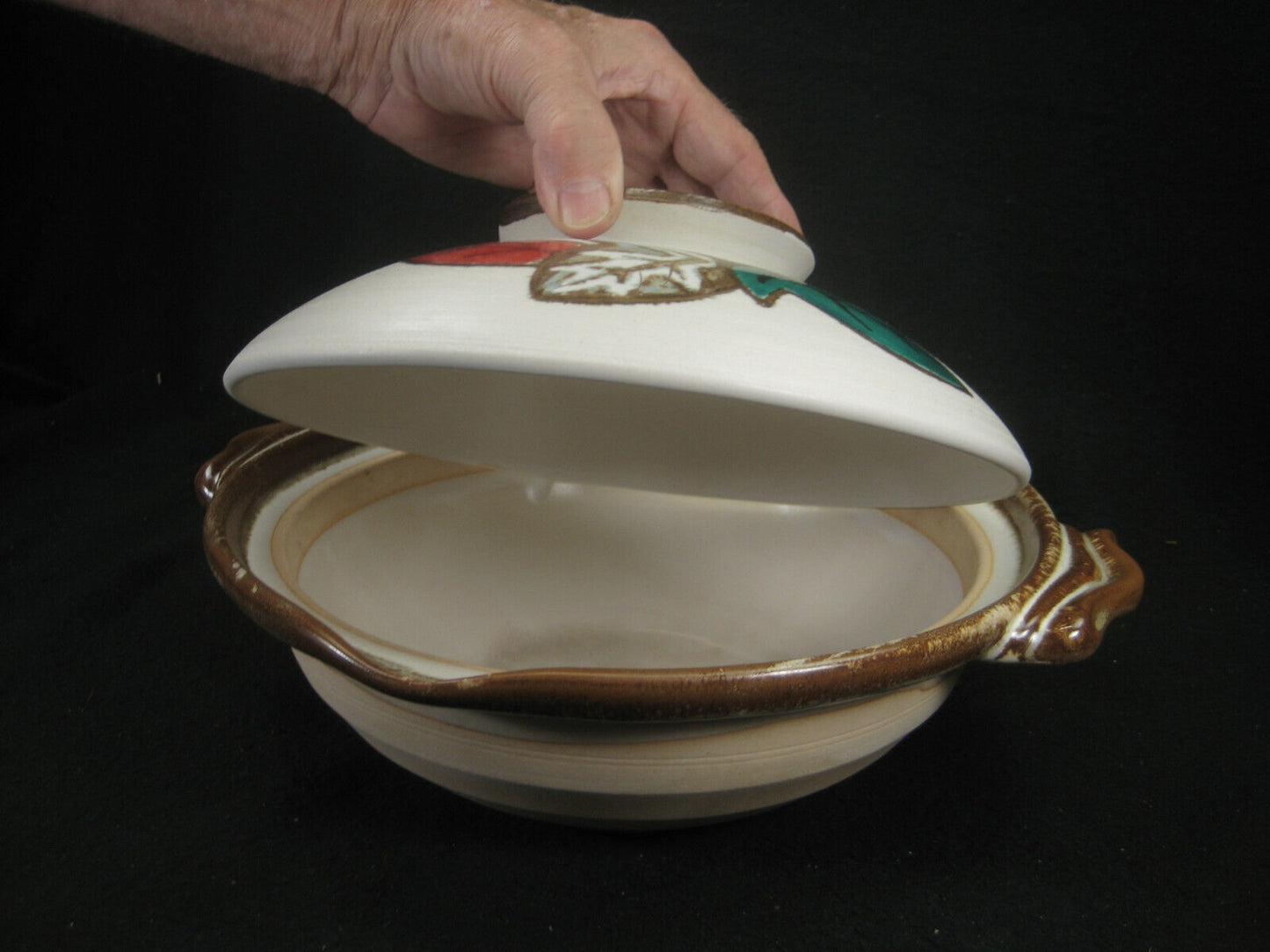 Japanese Ceramic Hot Pot Donabe For Nabe Shabu Sukiyaki Red Green Gold Leavs
