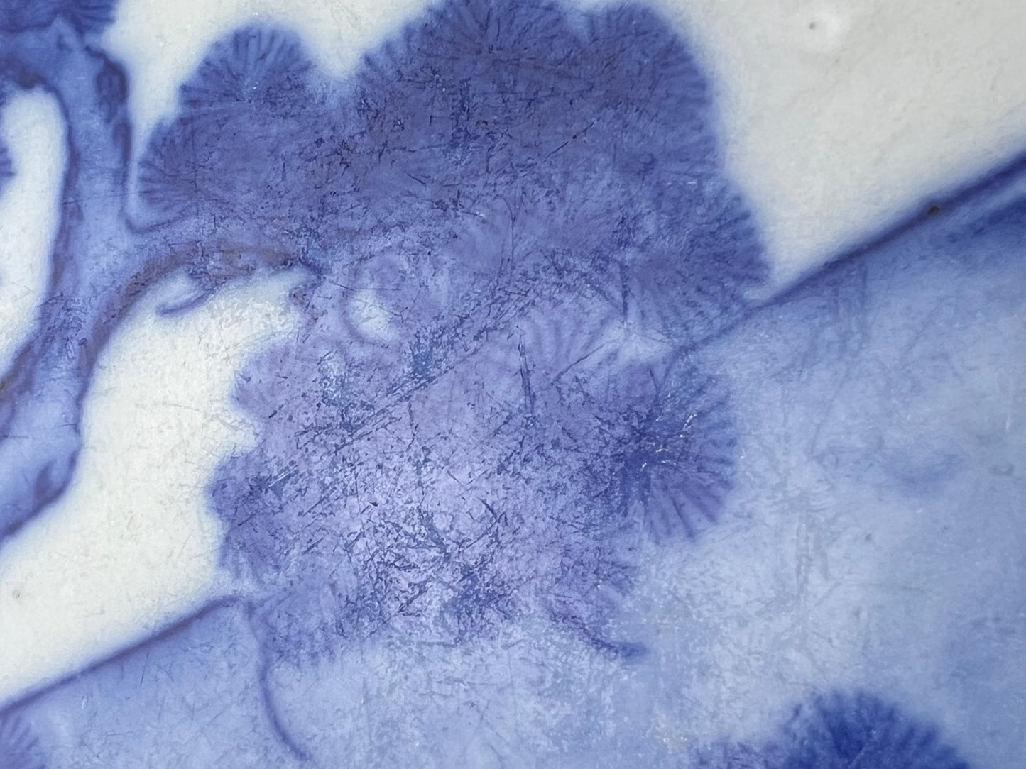 Antique Japanese c1900 Meiji Era Ceramic Imari Plate Pine Cranes & Mt Fuji 8.5"