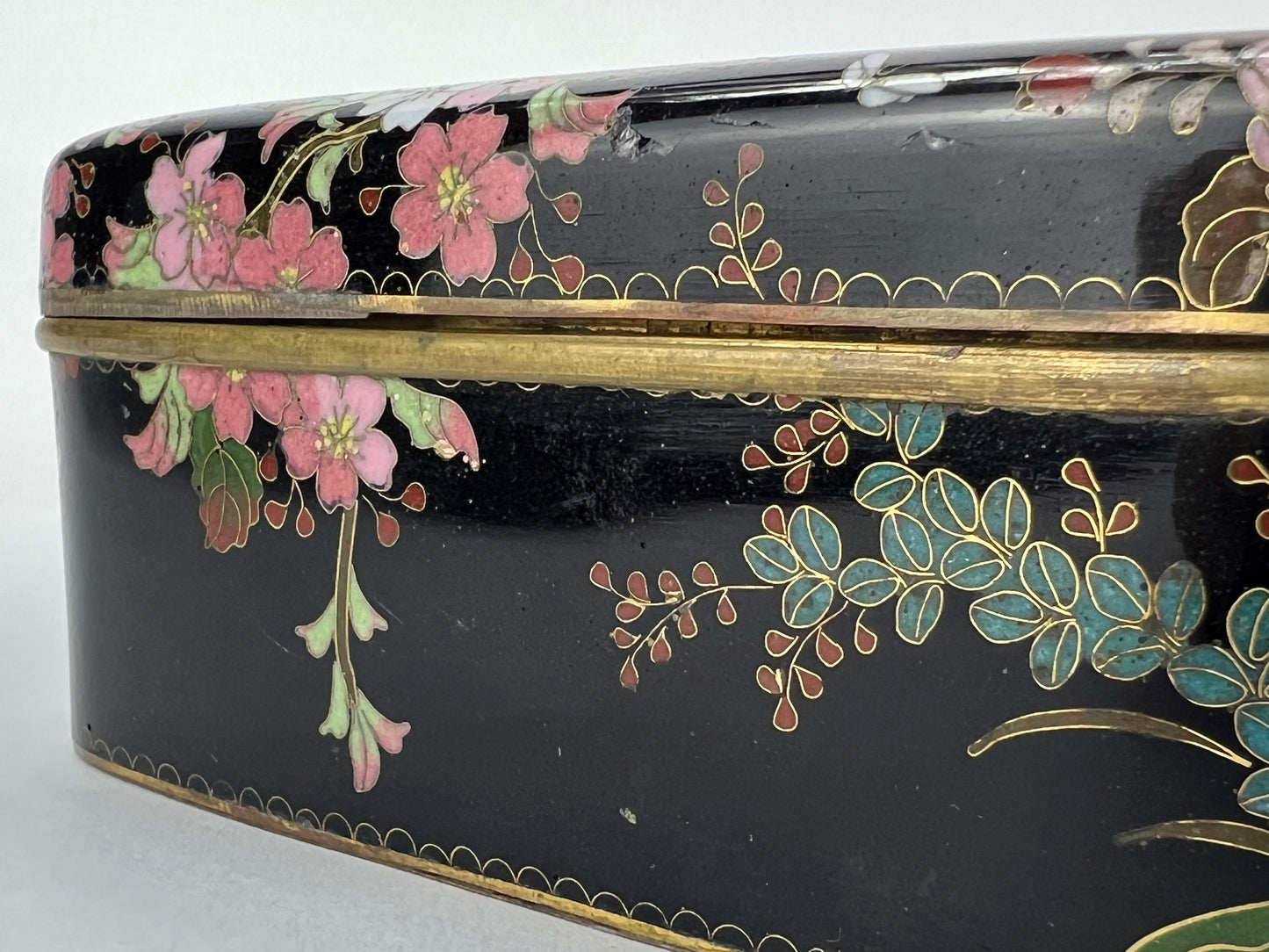 Antique Japanese Meiji Era (late 1800's) Signed Sano Cloisonné Hinged Box Flowers & Birds 5”
