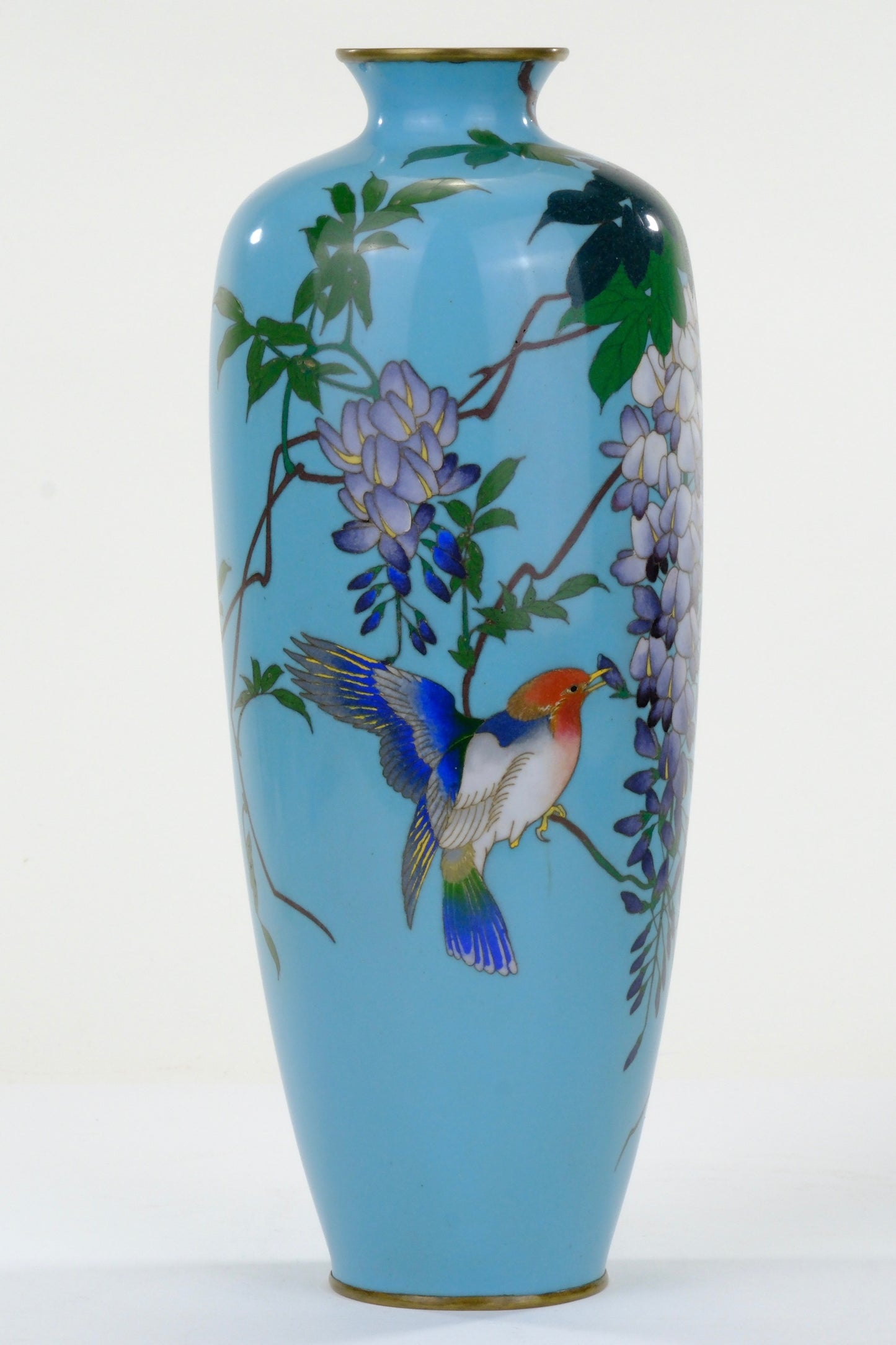 Antique Japanese Meiji Era (c1880) Cloisonné Vase Wisteria & Bluebird on Turquoise 12”