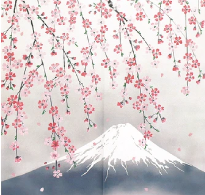 New Japanese Noren Curtain Weeping Cherry Mount Fuji 150cm