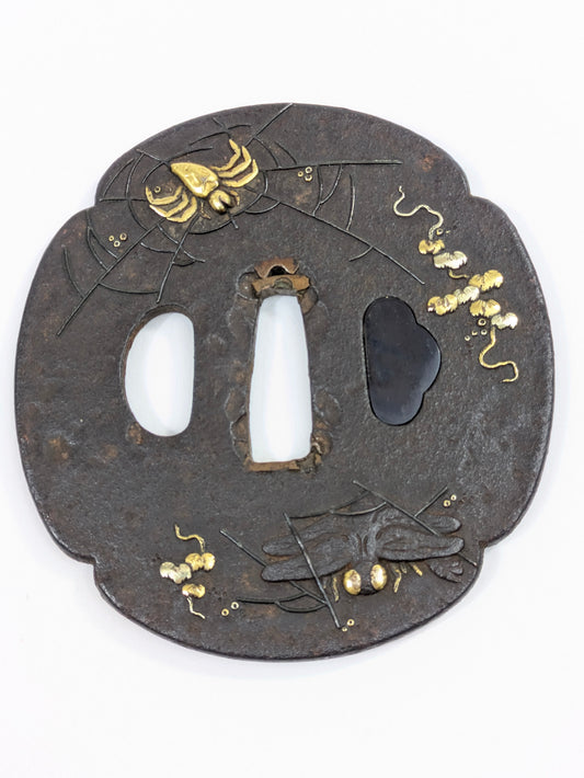 Antique Japanese Iron Tsuba – Spider, Dragonfly, and Ivy – Edo Period Samurai Sword Guard