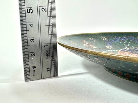 Japanese Meiji Cloisonne Shippo Plate Green Floral Medallion Iris Geometric 7.5"