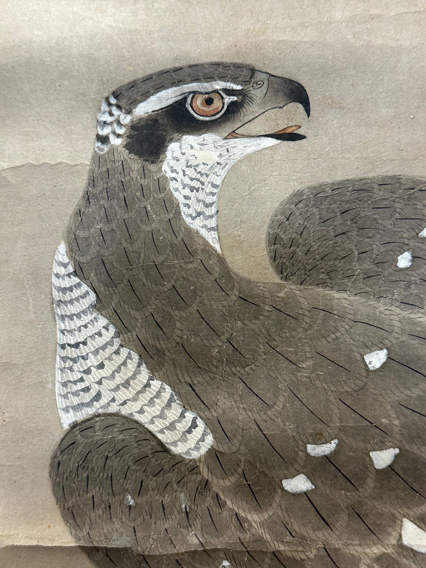 Japanese Antique Scroll Kakejiku Hand Painted Hunting Falcon 76"