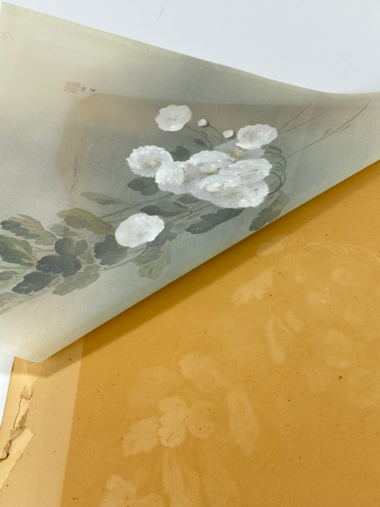 Antique Asian Kacho-ga Silk Painting Chrysanthemums and Butterfly 17x21