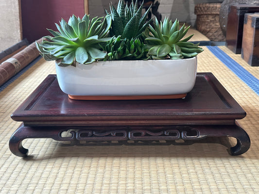 Vintage Japanese Kadai Makassar Ebony Ikebana & Bonsai Stand