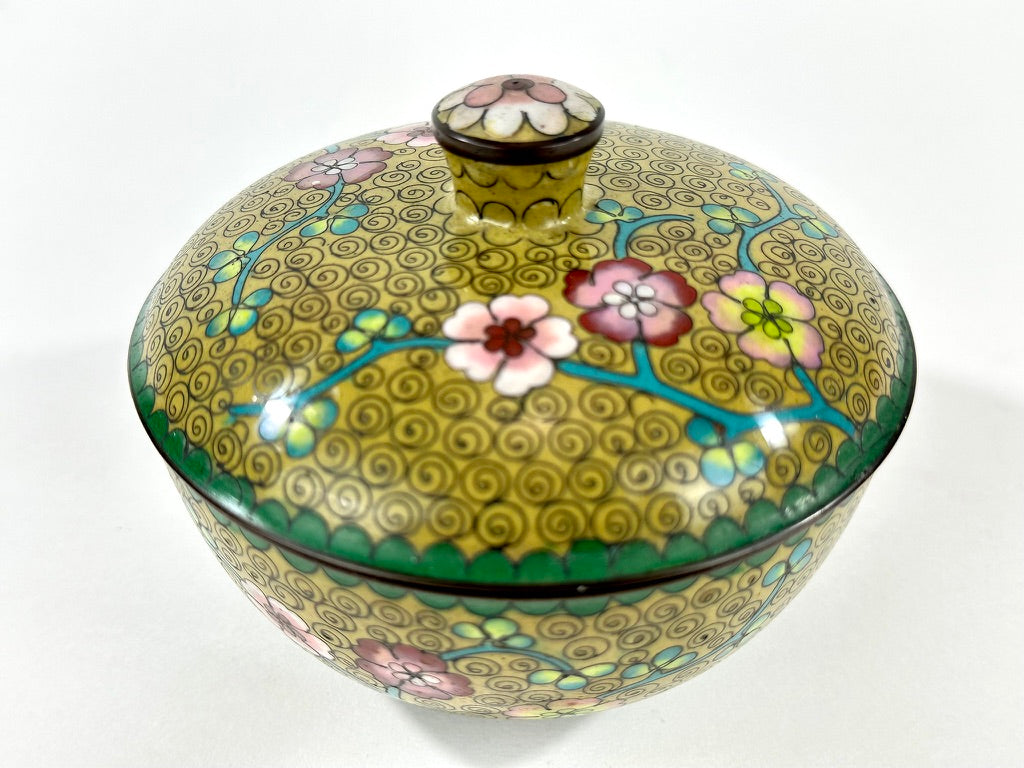 Antique Chinese Cloisonné