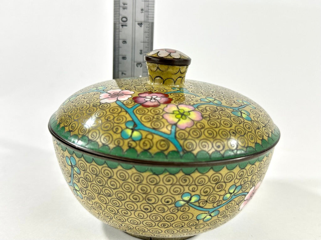 Antique Chinese Cloisonné