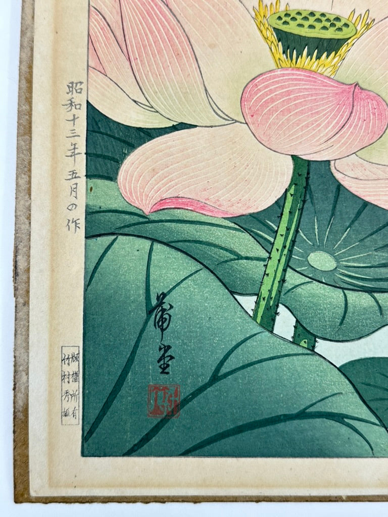Original Nishimura Hodo Woodblock Print Pink "Lotus Flowers" 1938 11x16"