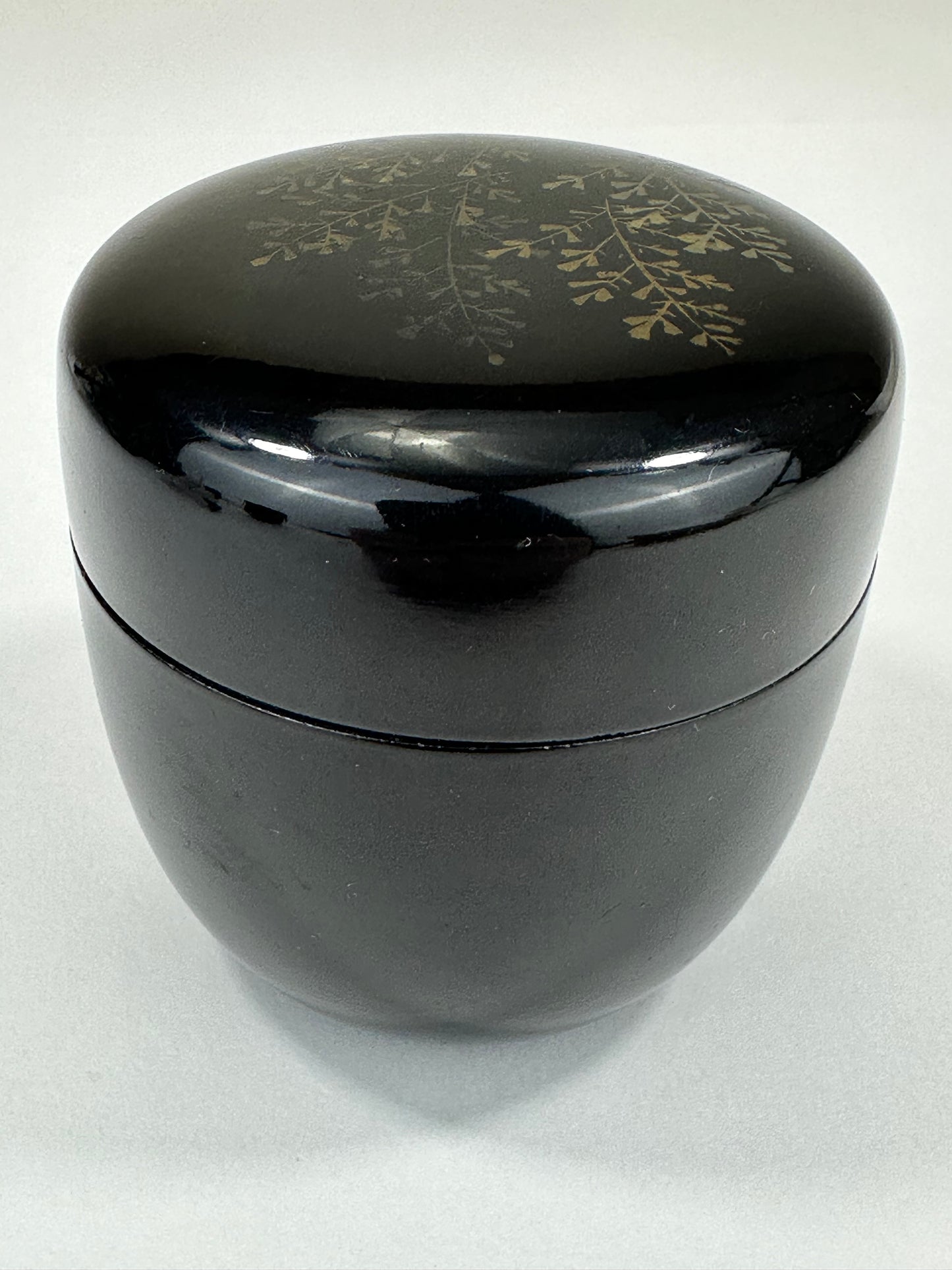 Japanese Tea Ceremony Natsume Tea Caddy Marie Fern Motif