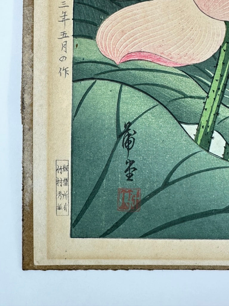 Original Nishimura Hodo Woodblock Print Pink "Lotus Flowers" 1938 11x16"