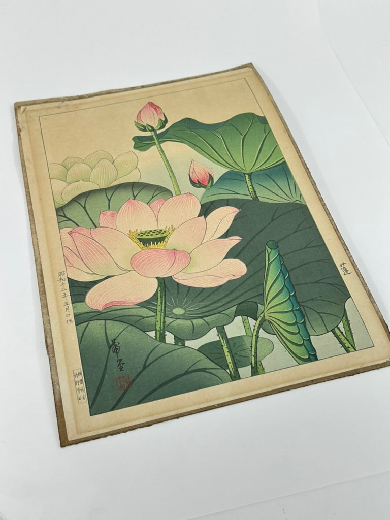 Original Nishimura Hodo Woodblock Print Pink "Lotus Flowers" 1938 11x16"
