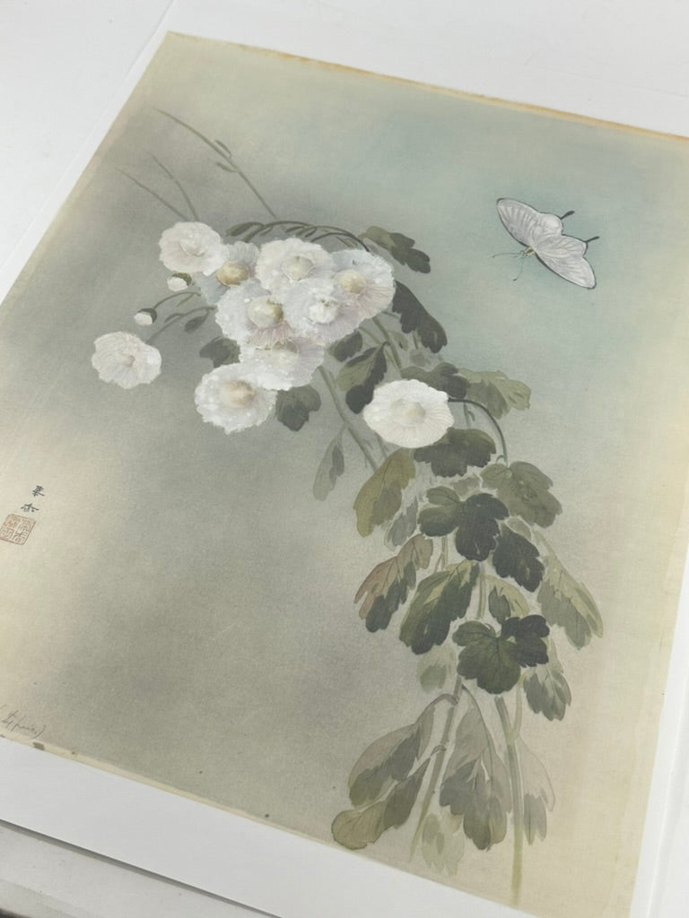 Antique Asian Kacho-ga Silk Painting Chrysanthemums and Butterfly 17x21
