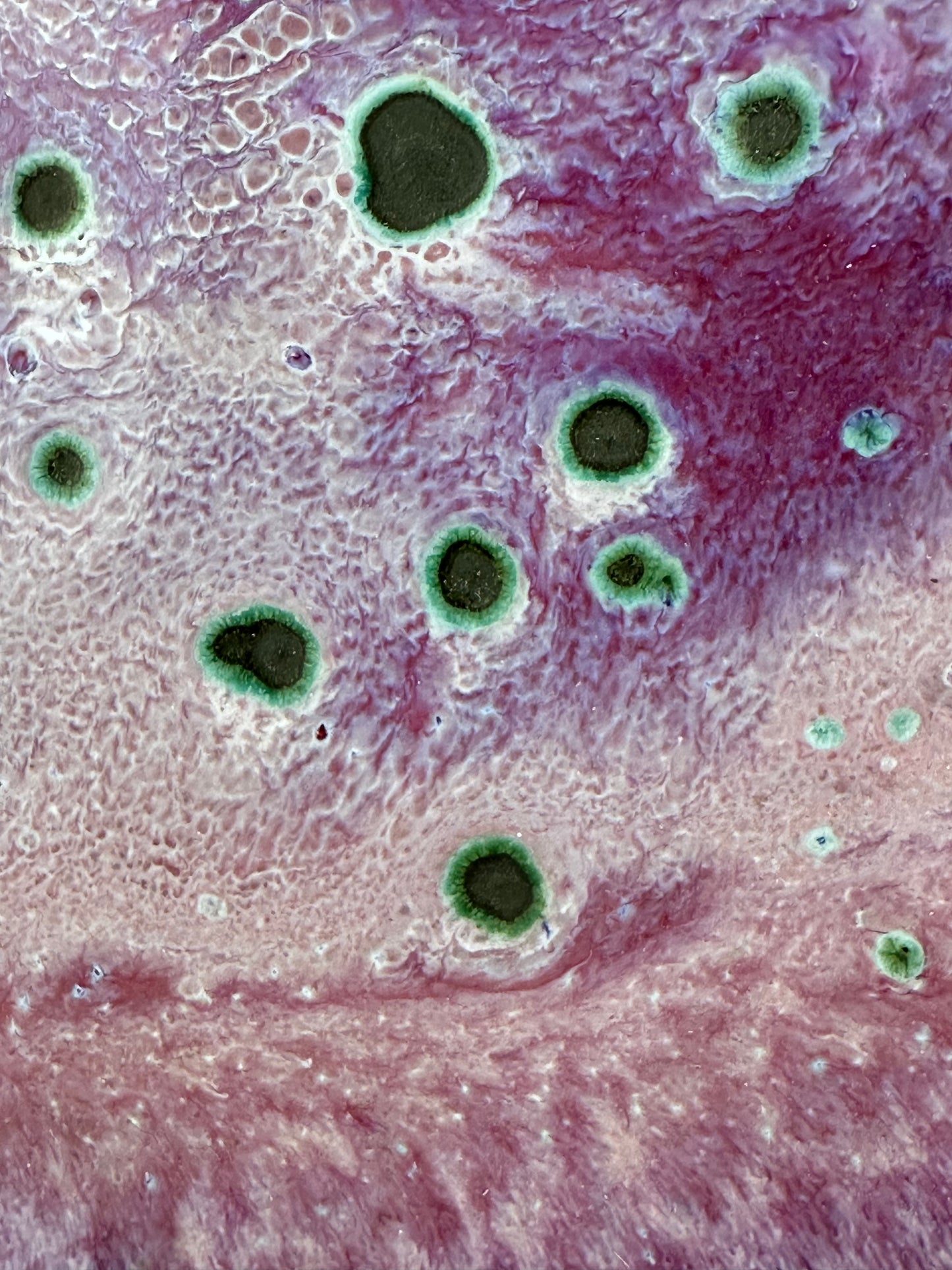 Rare Matsuyama Gaei c1950's Peacock Glaze Plate Japanese Hand Thrown 12”