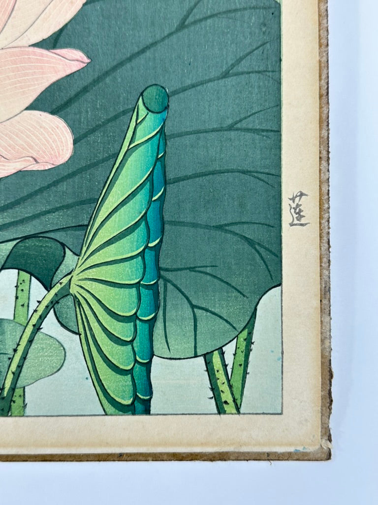 Original Nishimura Hodo Woodblock Print Pink "Lotus Flowers" 1938 11x16"
