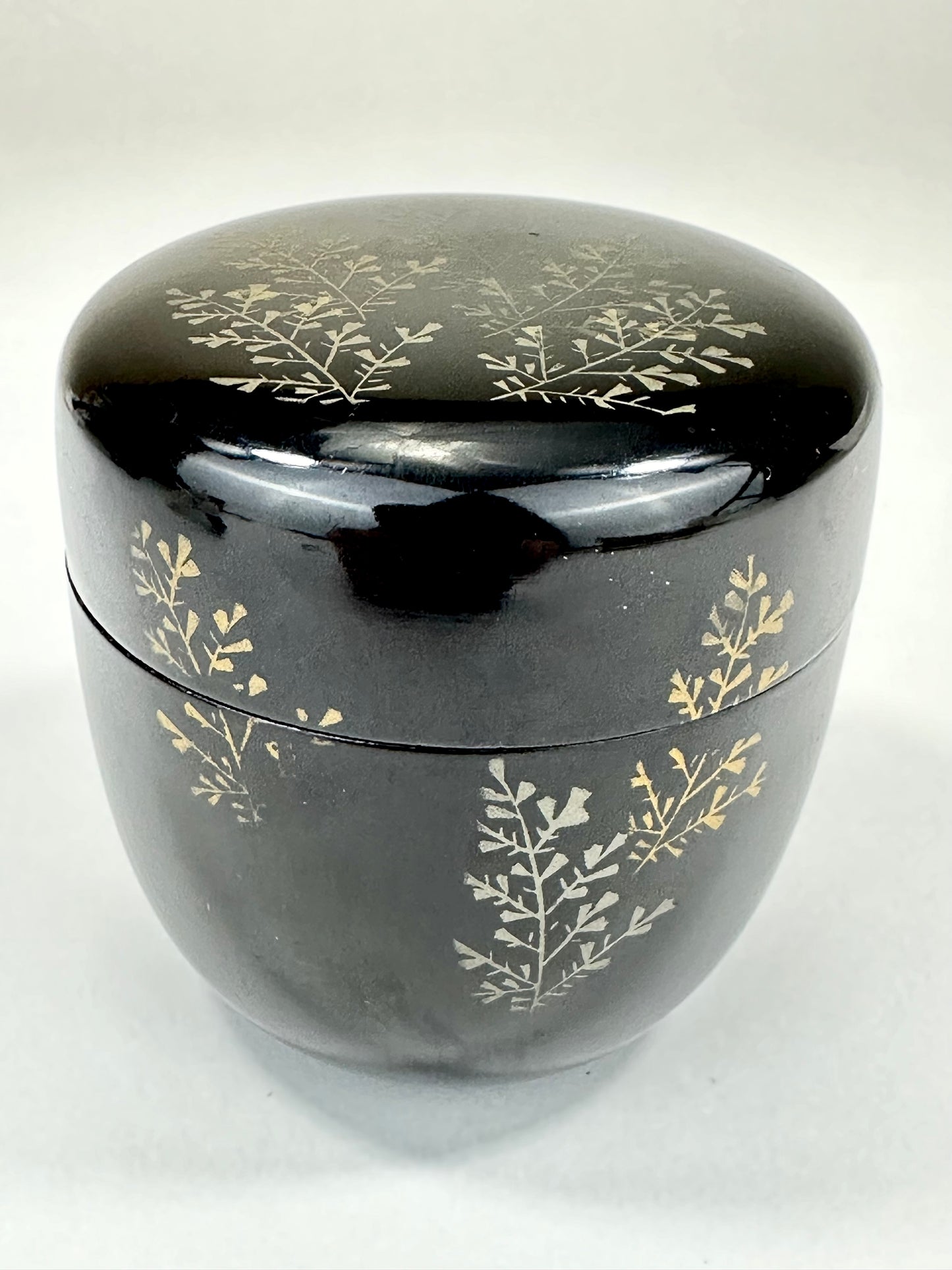 Japanese Tea Ceremony Natsume Tea Caddy Marie Fern Motif