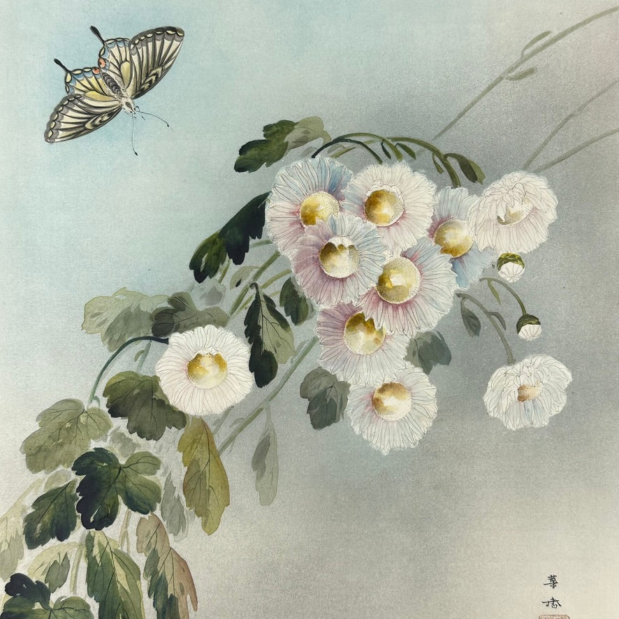 Antique Asian Kacho-ga Silk Painting Chrysanthemums and Butterfly 17x21