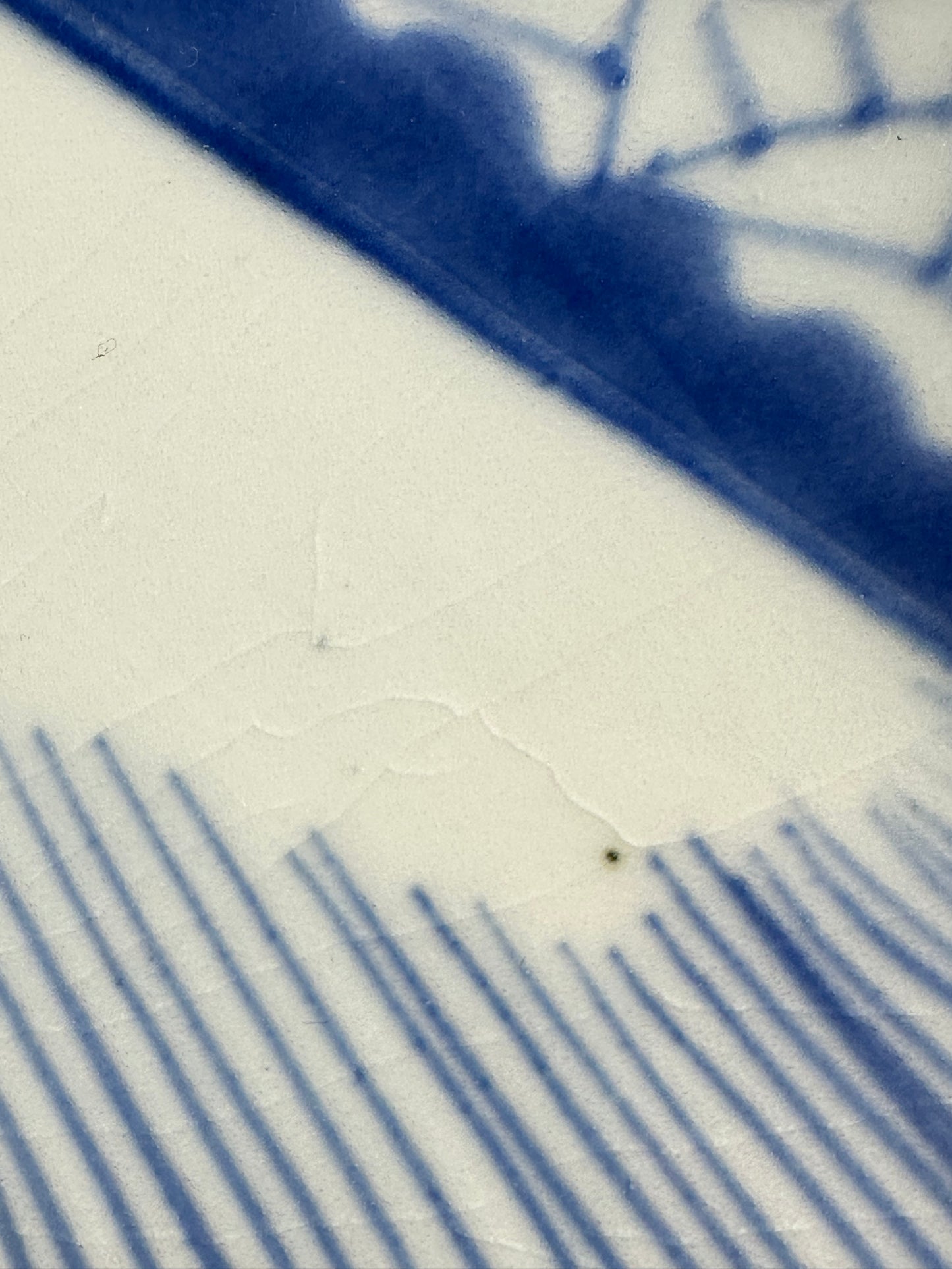 Antique Japanese Late Edo Imari Porcelain Plate with Mount Fuji & Pine Tree 11"