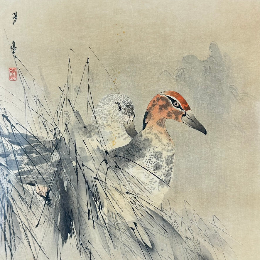 Antique Japanese Watanabe Shotei Woodblock Print Ducks in Marsh Grass 18"H