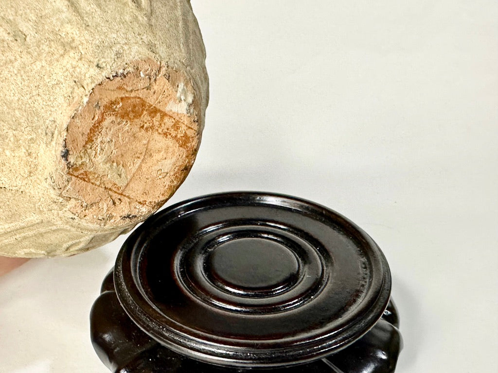 Southeast Asian Unglazed Stoneware Jar Stamped Floral Rosette Decoration Ring Handles Hardwood Stand 3.5"