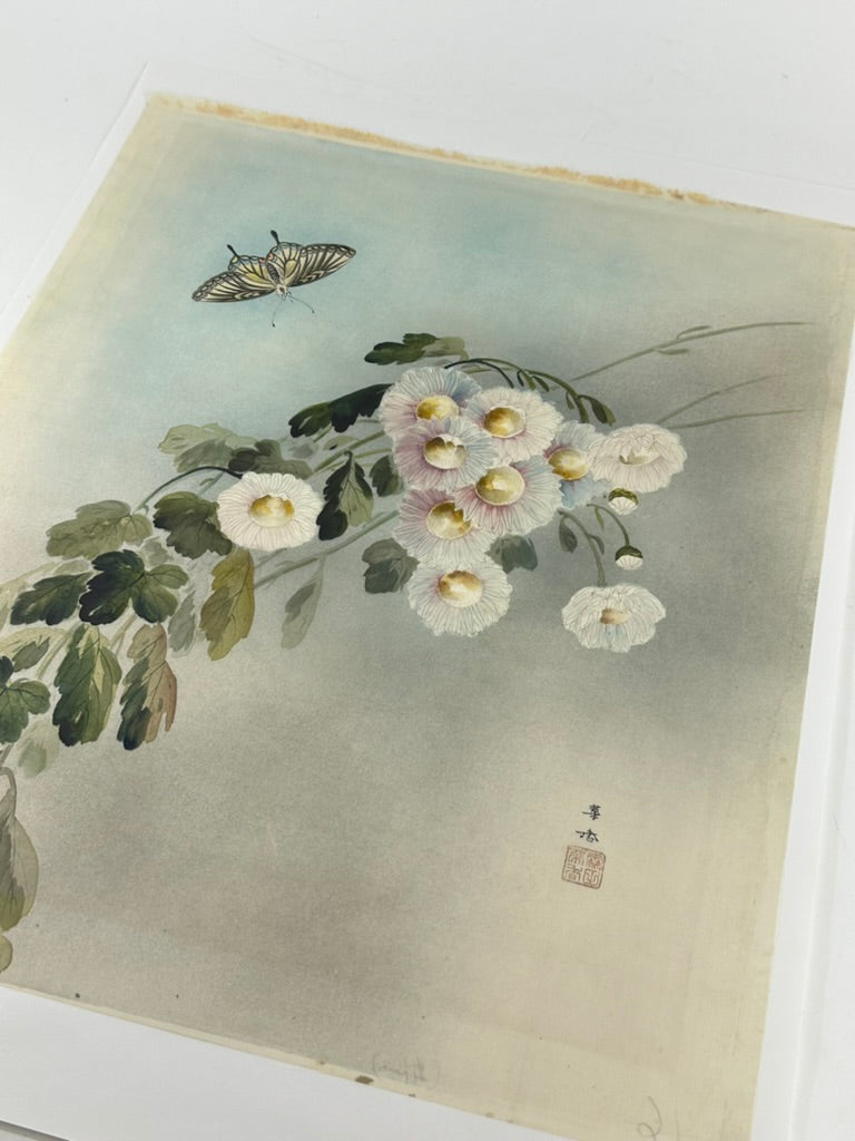 Antique Asian Kacho-ga Silk Painting Chrysanthemums and Butterfly 17x21