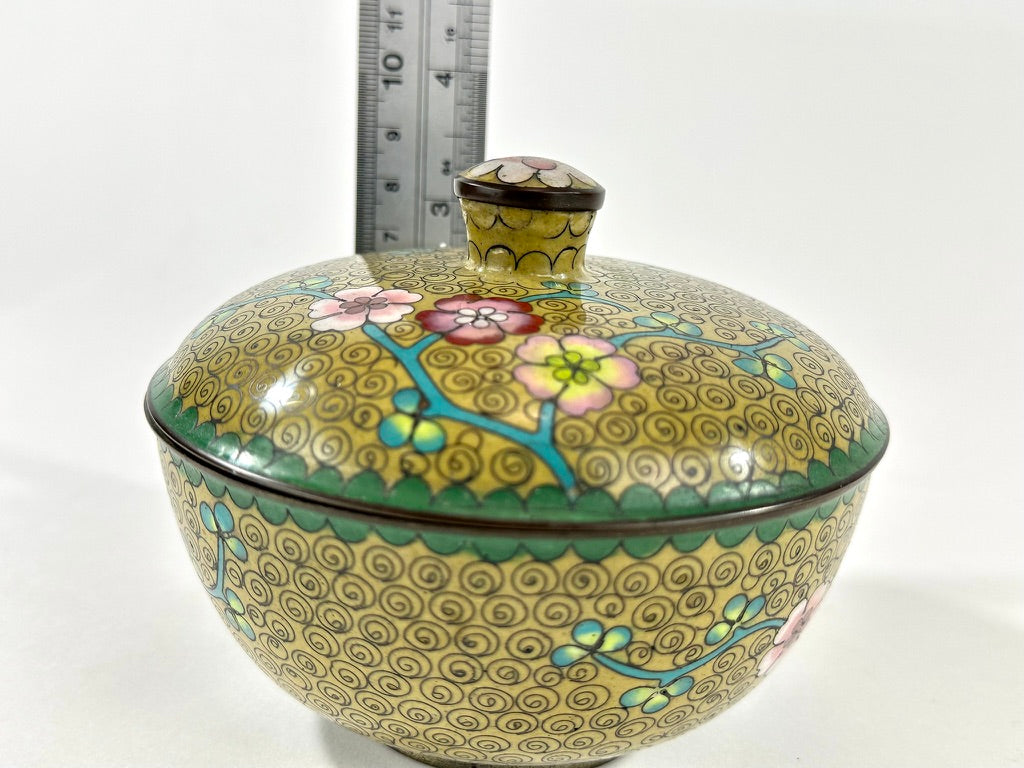 Antique Chinese Cloisonné