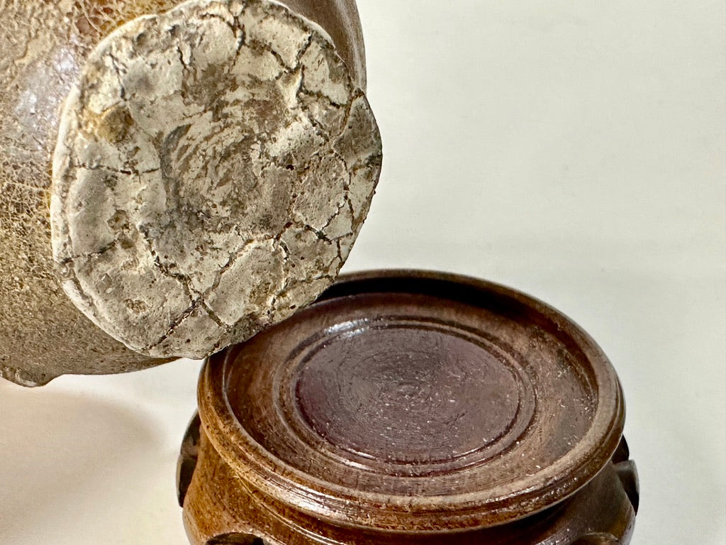 Southeast Asian Stoneware Miniature Jar Double Loop Handles Hardwood Stand 3"H