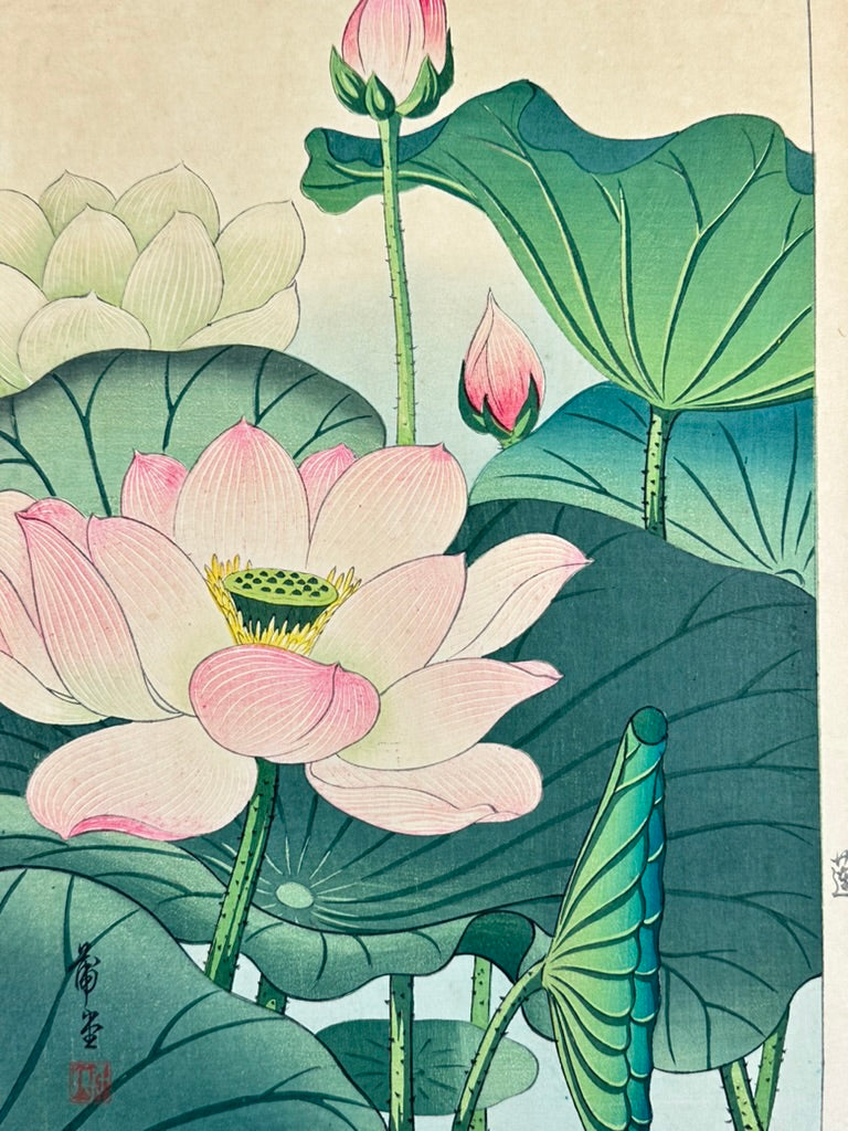 Original Nishimura Hodo Woodblock Print Pink "Lotus Flowers" 1938 11x16"