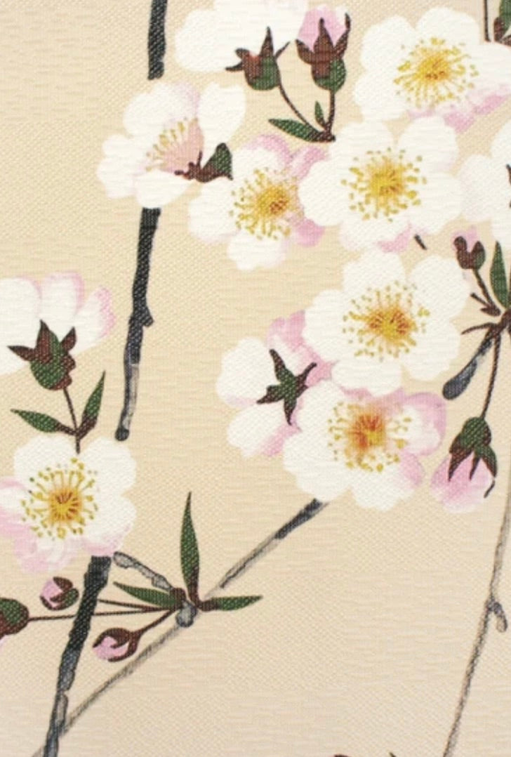 New Japanese Noren Curtain Yoizakura Moon Cherry Blossom 150cm